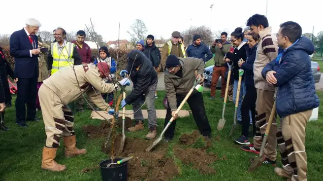 Orchard, forest, a fruit tree for every home: communities planting trees for the future
