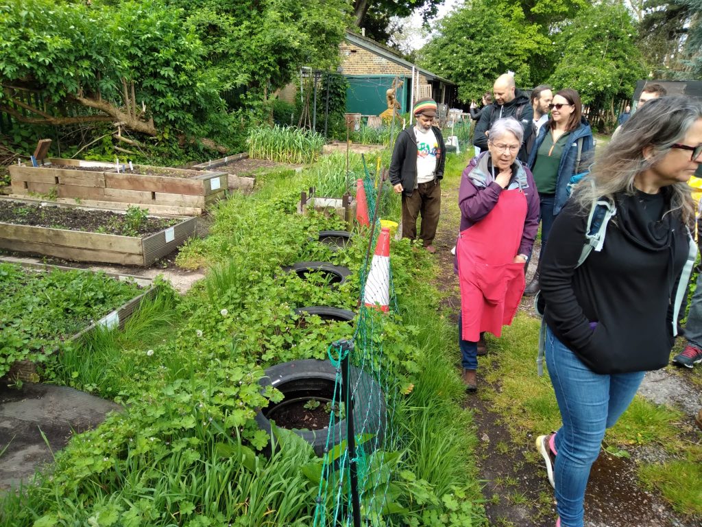 There is a makeshift fence down the middle of the picture - on the left are raised beds and tyres where vegetables grow. On the right, a group of Transitioners walk down a pathway. The garden is surrounded by trees and a large shed appears in the background. 