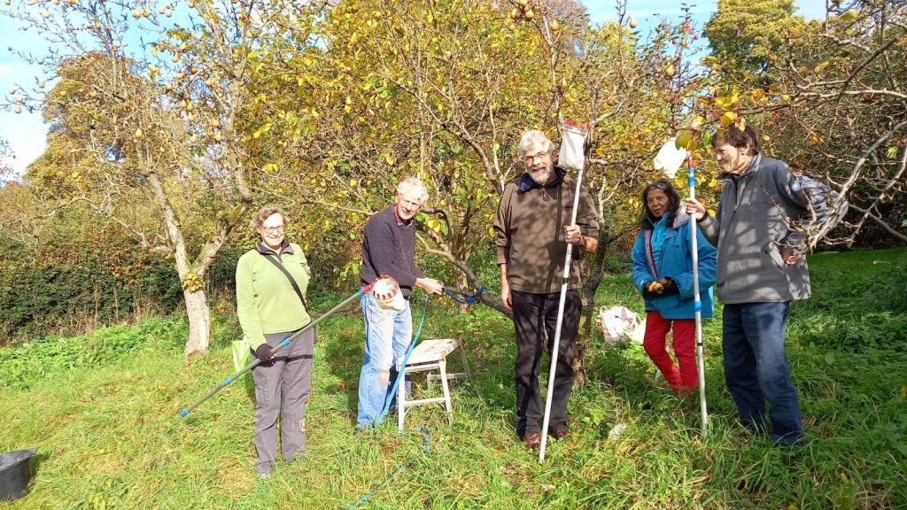Five volunteers from Transition Chesterfield's Abundance project with tools for picking apples. Behind them are heavily laden apple trees in the autumn sunlight.