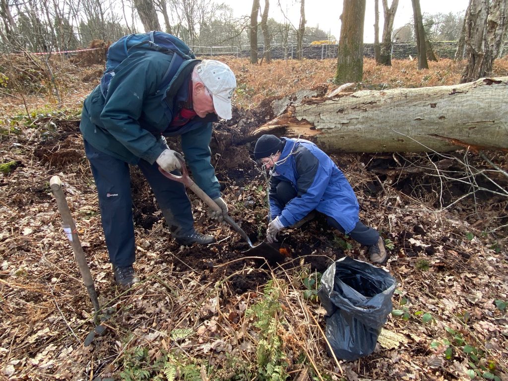 Transition Wilmslow volunteers are wrapped up warm to plant trees around the edge of the bogland. 